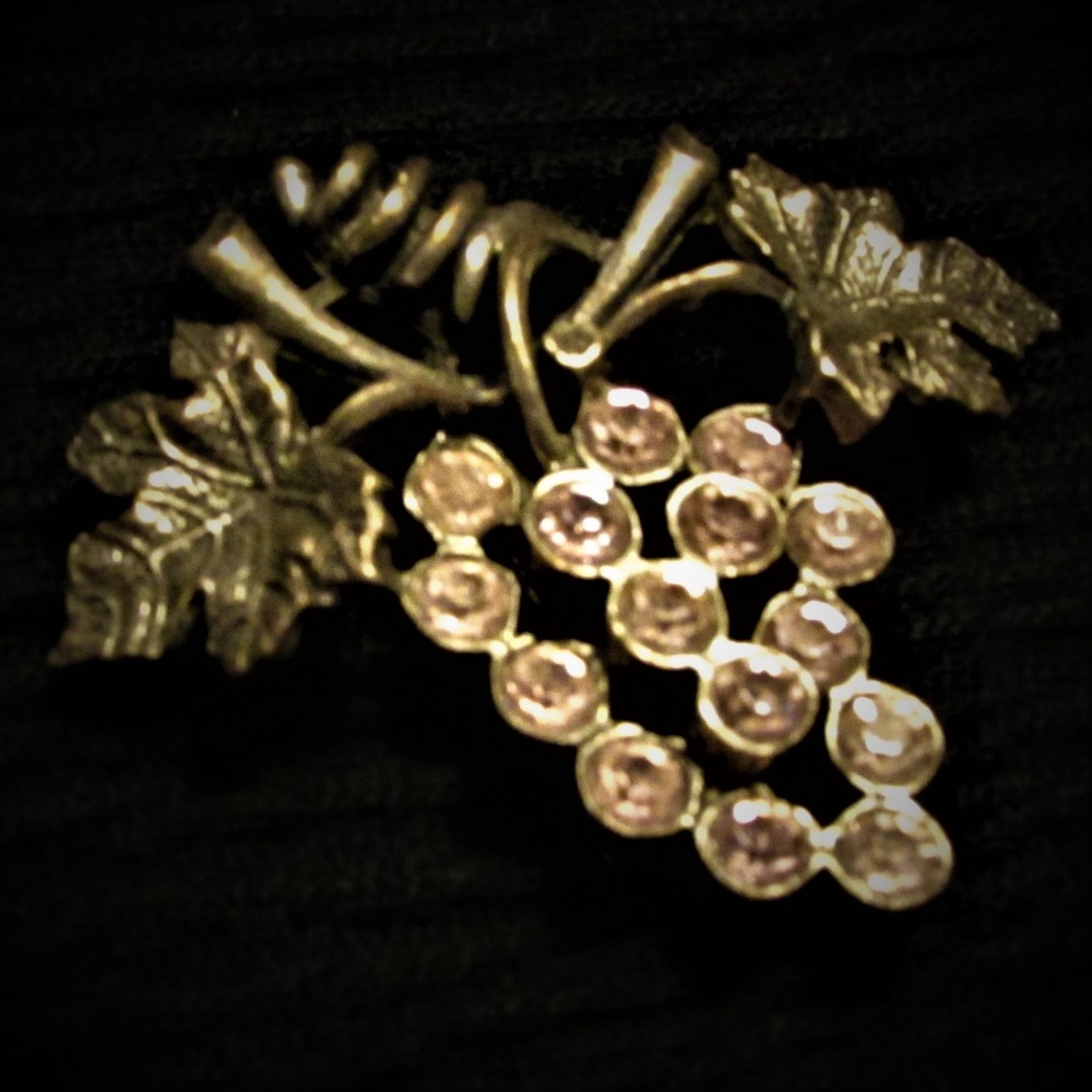 Brooch Pin Bundle Butterfly, Apples, Grapes, Fish - Picture 5 of 7